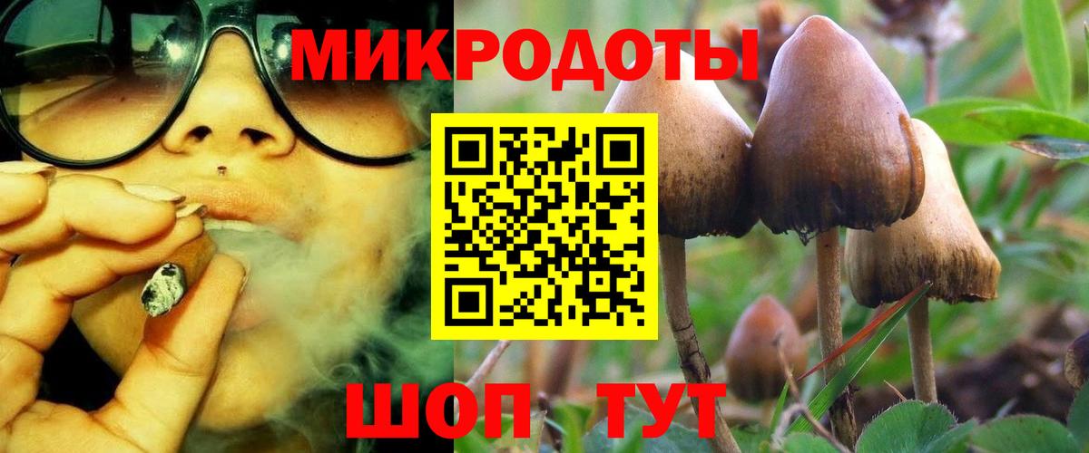 Кудрово  Псилоцибиновые грибы Psilocybine cubensis  Вход с VPN 